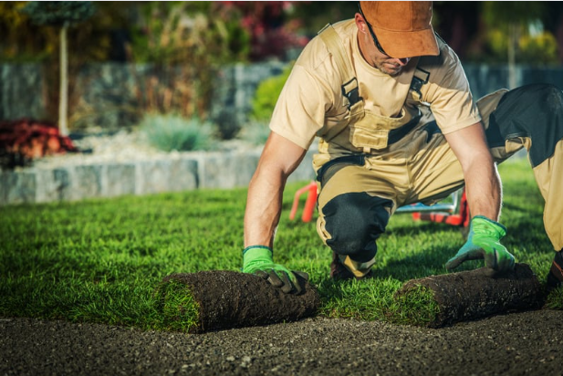 landscaper pic